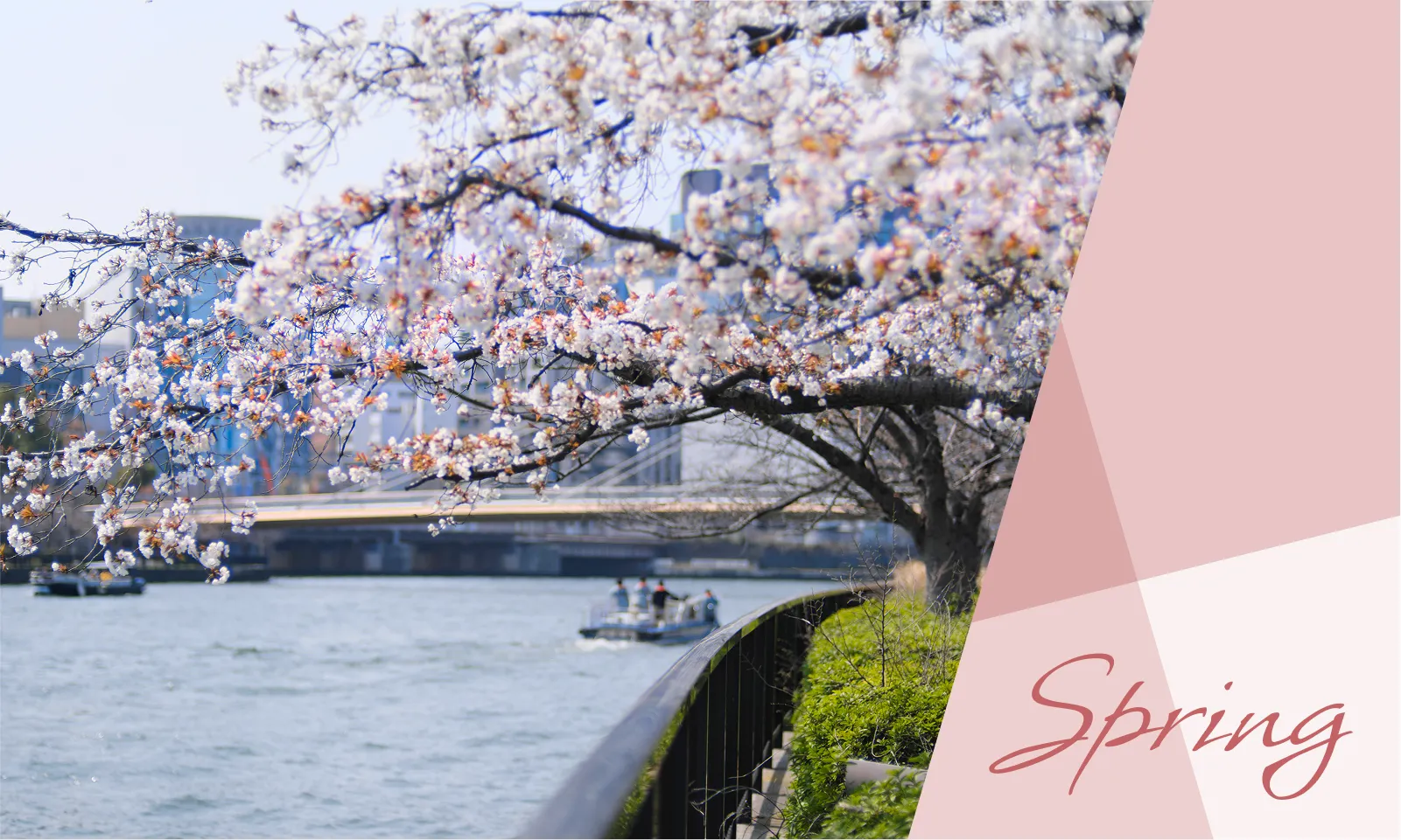 Spring