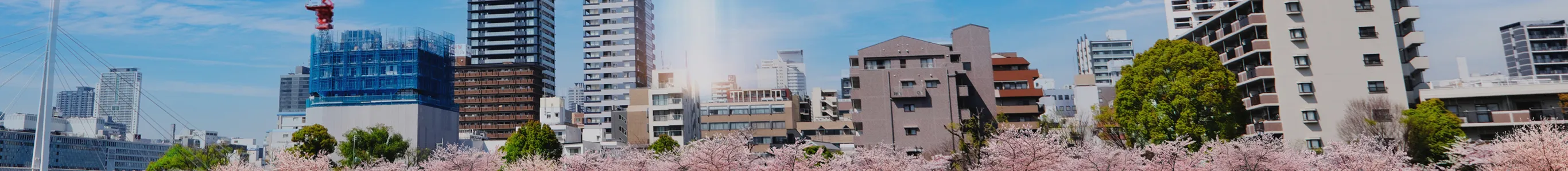現地周辺航空写真