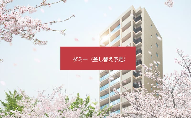 image photo