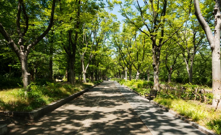靱公園の初夏