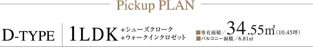 Pickup PLAN D-TYPE 1LDK +シューズクローク+ウォークインクロゼット